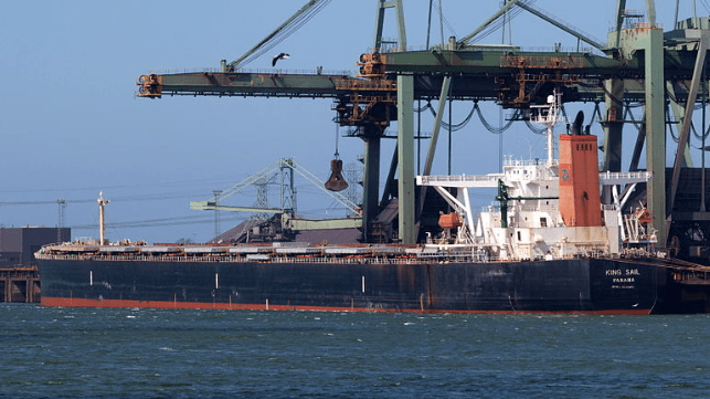King-Sail-panamax-bulker-at-rotterdam