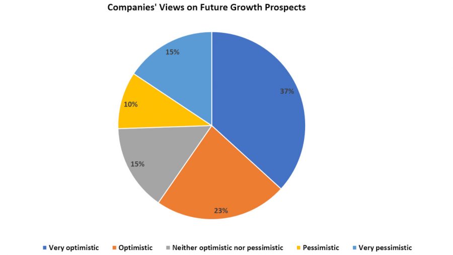 Business optimism improves marginally in June: Poll