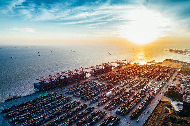Shanghai holds strong as blank sailing fears continue