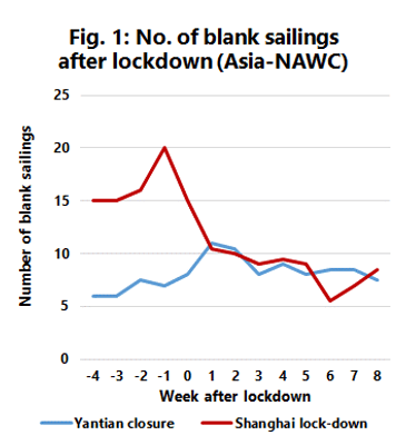 Shanghai holds strong as blank sailing fears continue