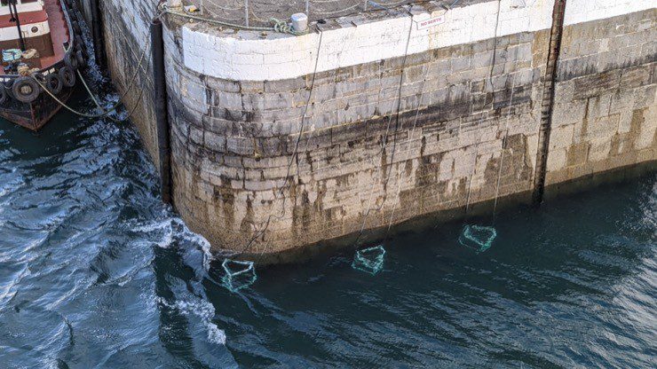 Artificial reef to protect new Isle of Man ‘eco-marina’