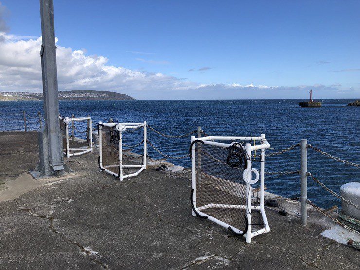 Artificial reef to protect new Isle of Man ‘eco-marina’