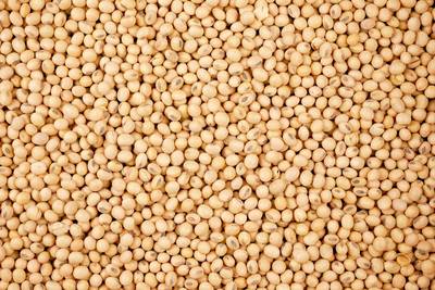Cargill to Build Soybean Processing Plant in Missouri