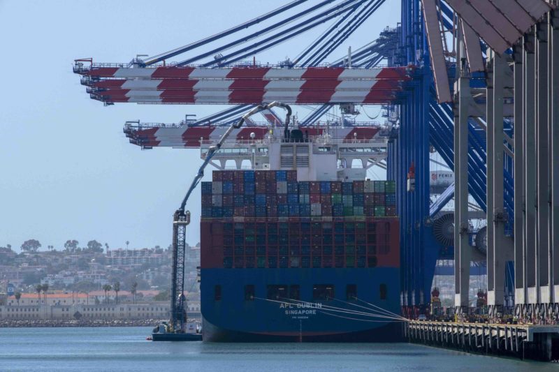 Global shipping companies reduced speeds off California coast to protect blue whales and blue skies
