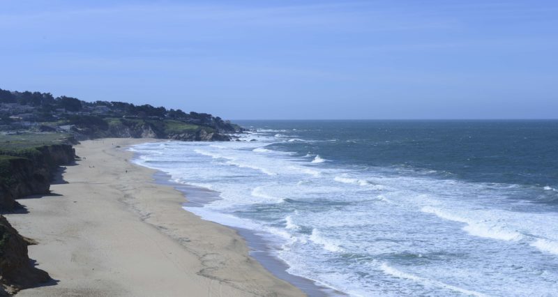 Global shipping companies reduced speeds off California coast to protect blue whales and blue skies
