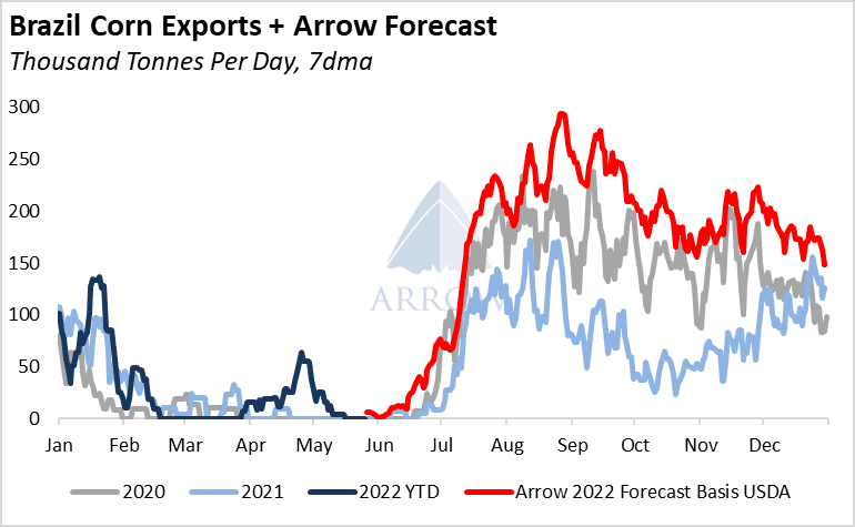 Grains Outlook Points To Dry Bulk Headwinds