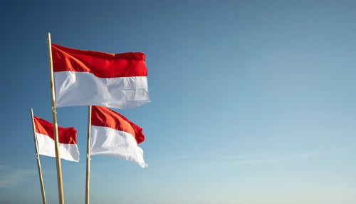 Indonesia to end palm oil export ban