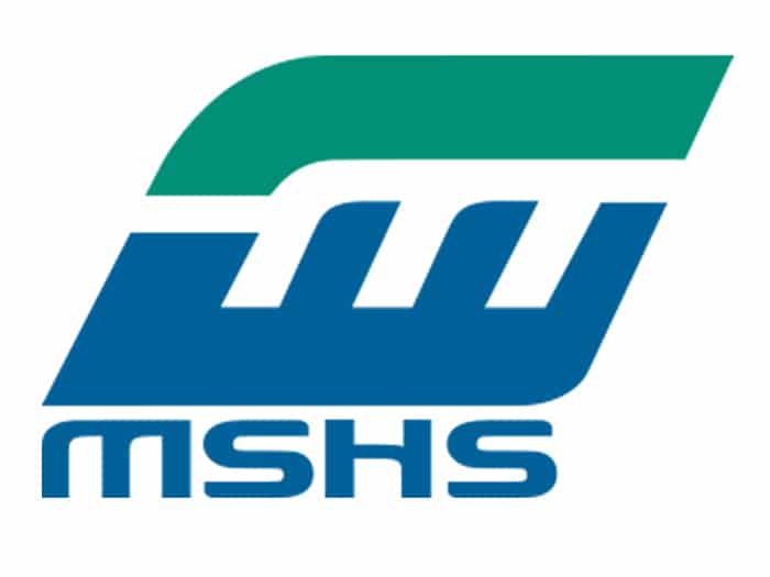 Motor Services Hugo Stamp and Governor Control Systems rebrand as MSHS