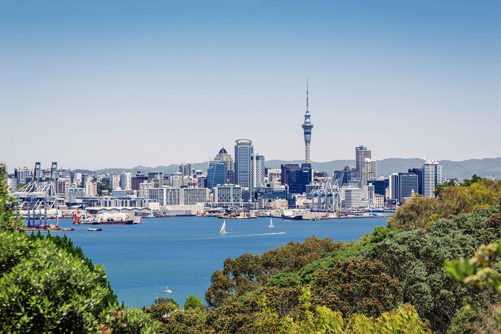 New Zealand Set for Opening