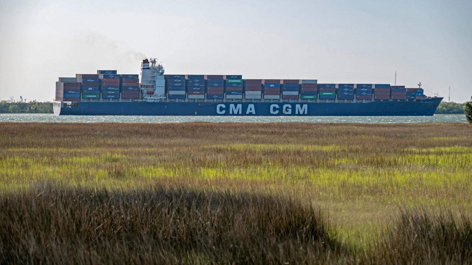 South Carolina Ports posts record cargo volumes for 14th consecutive months South Carolina Ports posts record cargo volumes for 14th consecutive months