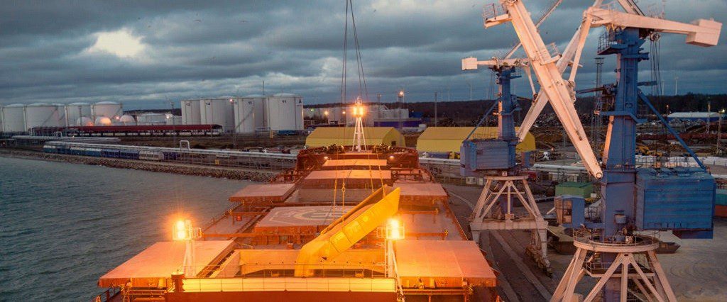 Argentina’s wheat export quota cut by 31% for /23 marketing year