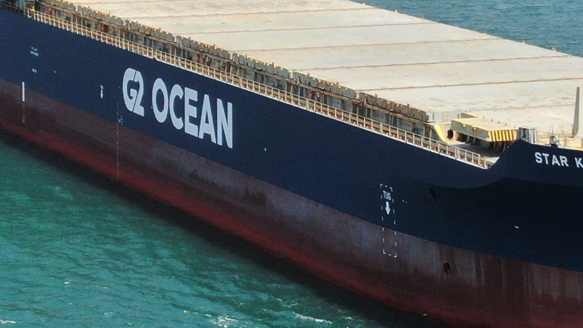 Bulk carrier owner G2 Ocean invests in voyage optimisation solutions
