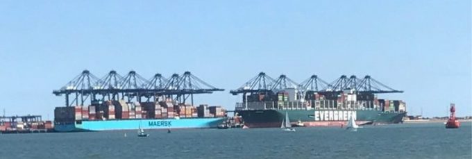 Carriers return to aggressive voyage blanking to mitigate reduced demand