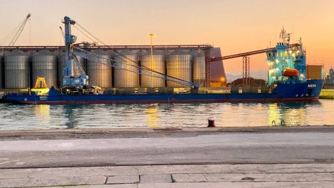 Drewry: multipurpose vessel rates continue to edge down