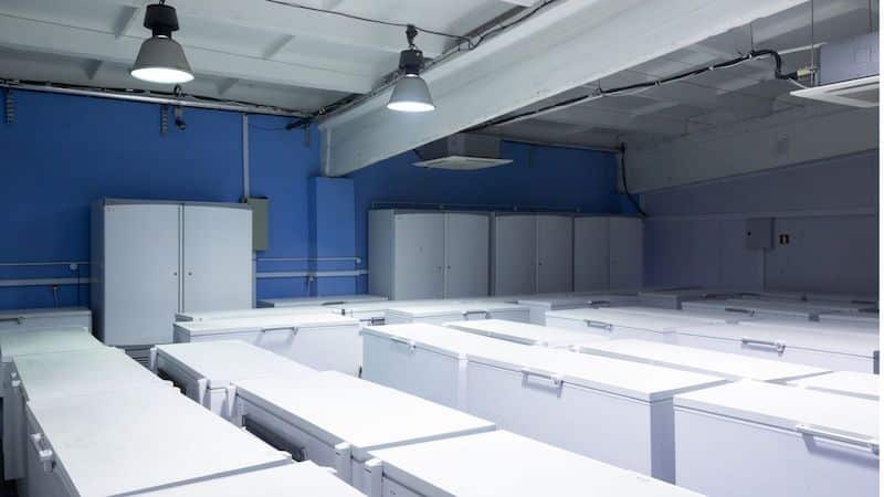 Guide To Types of Warehouses for Shipping