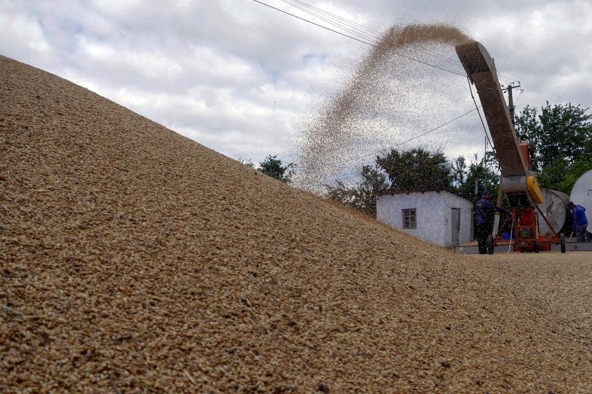 Insurers look for a safe passage for covering ships carrying Ukraine’s grains Insurers look for a safe passage for covering ships carrying Ukraine’s grains