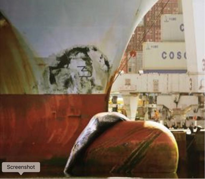 ‘Mad MAX’ launches court action to protect whales from maritime industry