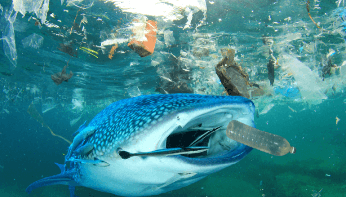 Mysterious Plastic Objects Found In A 45-Day-Long Sweep Of The Great Pacific Garbage Patch