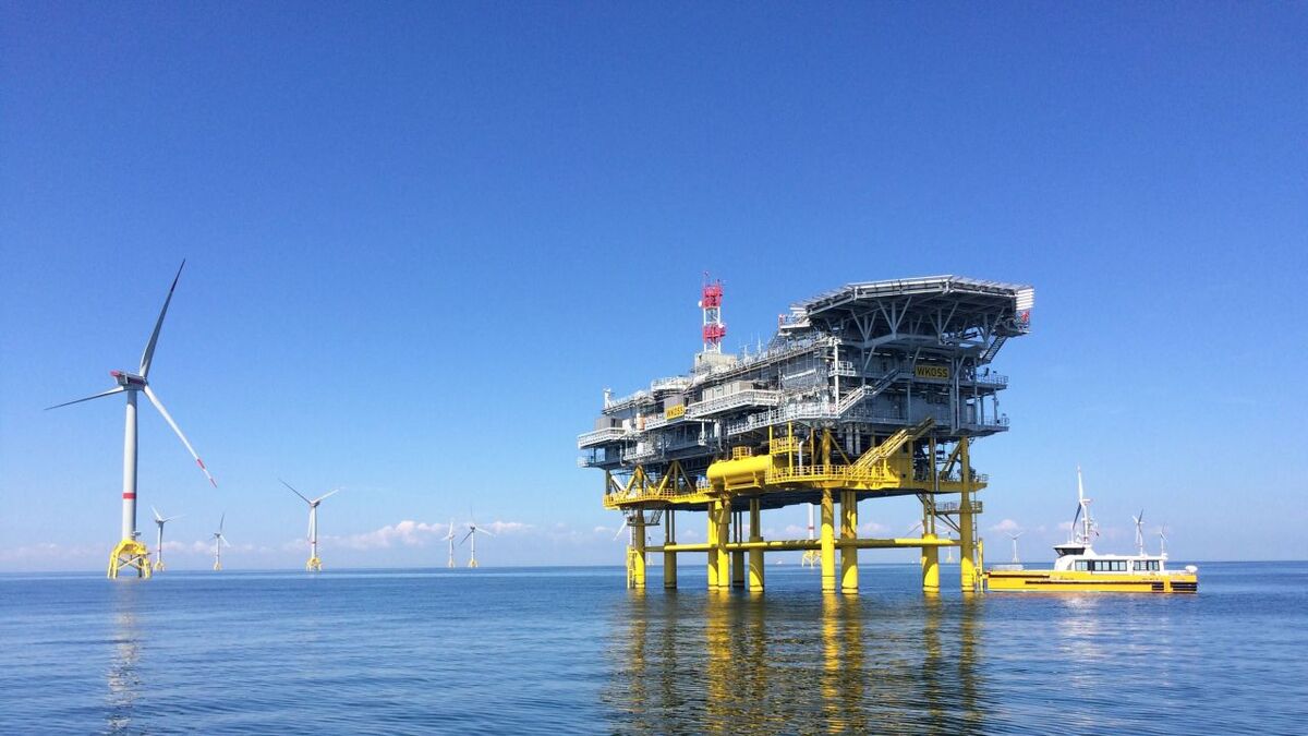 Negative bidding ‘threatens Germany’s offshore wind supply chain’