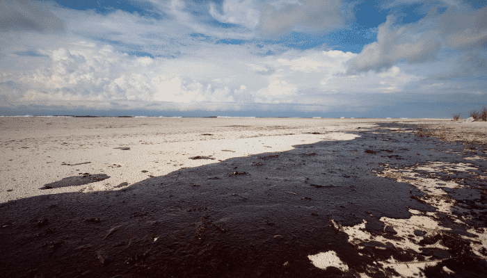 The Gulf of Mexico Oil Spill: The Complete Story