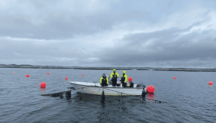 World’s First Pilot Project For Active Carbon Capture With Seaweed Established