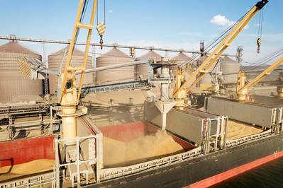 Zelenskiy Says Ukraine is in Talks with Turkey, UN on Grain Exports