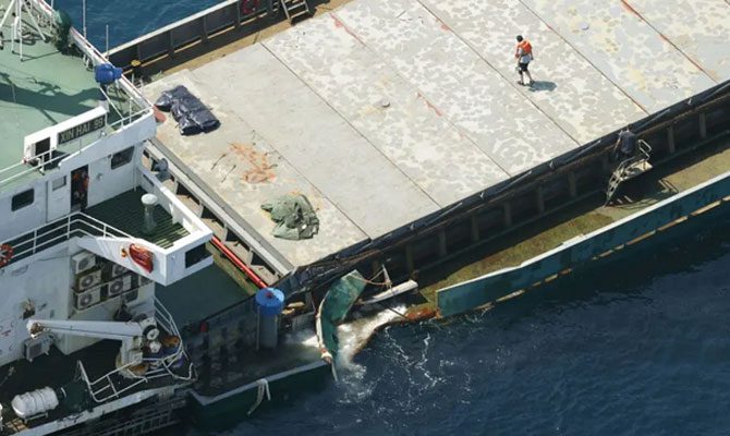 Chinese cargo ship sinking after collision with Japanese tanker, Japan VIDEO
