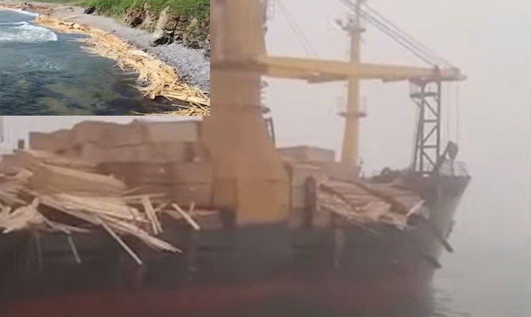 Deck cargo lost, coast littered with tons of wood, Russia, Japan sea VIDEO