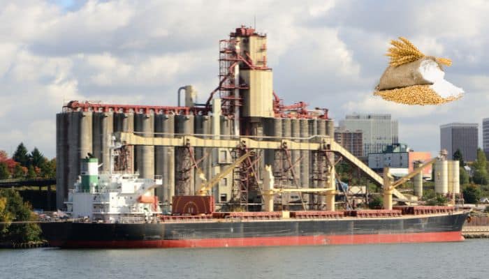 Food Aid Ship With About 37,000 Metric Tons Of Wheat Departed From Ukraine Port For Yemen