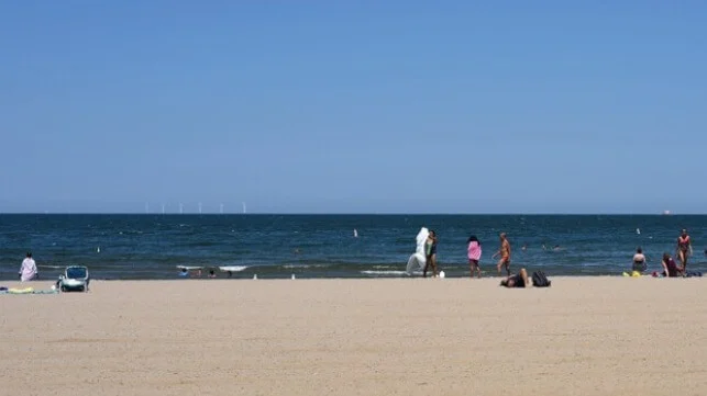 Ohio Supreme Court Rejects Bird Claims Approving Freshwater Wind Farm Ohio Supreme Court Rejects Bird Claims Approving Freshwater Wind Farm