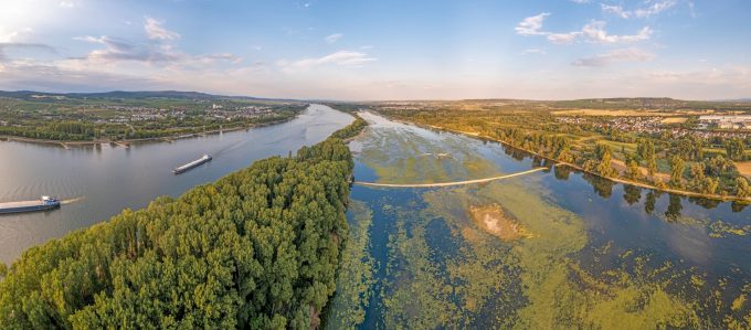 Rhine closes to barge traffic, with water depth set to hit record lows