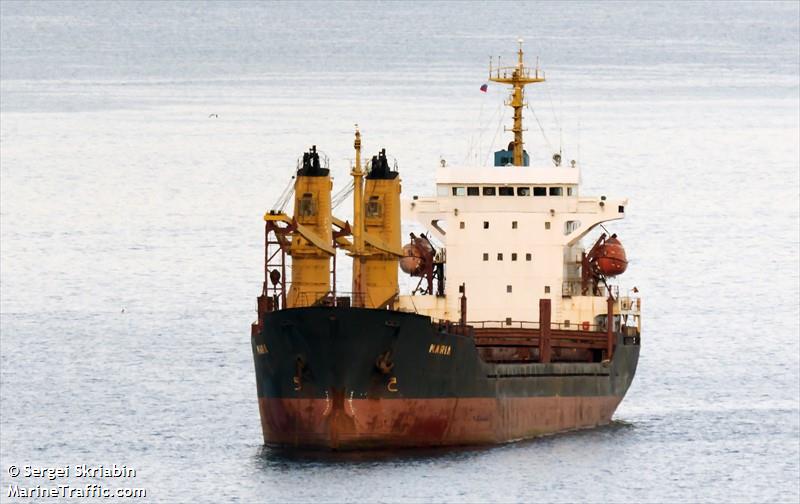 Tons of Russian timber wash ashore