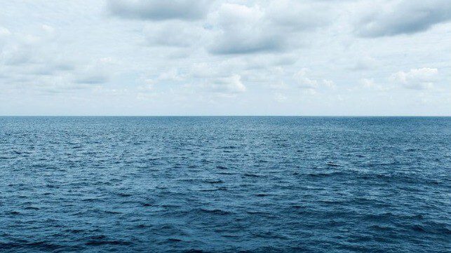 UN Resumes Work on Treaty to Protect the High Seas