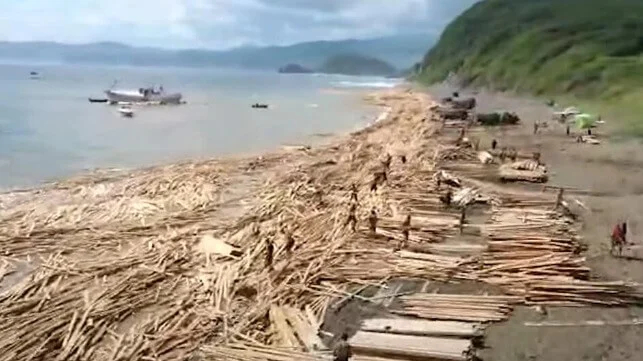 Video: Lumber Cargo Litters Shore After Falling from Cargo Ship