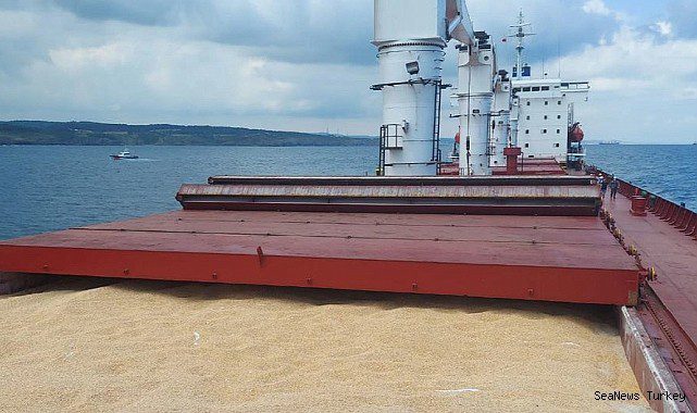 Black Sea Grain Initiative helps stabilize global food markets