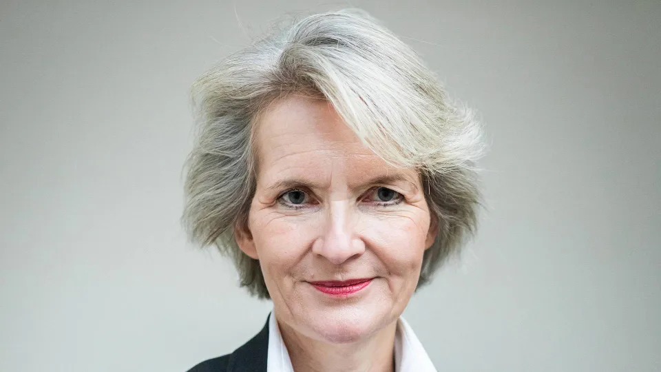 Major liner companies must lead smaller carriers in green transition