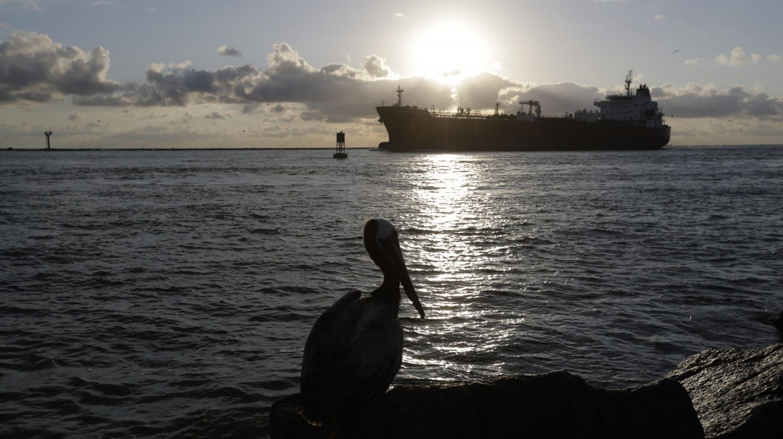 Tankers could profit if US restricts gasoline and diesel exports