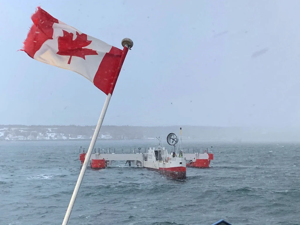 Bay of Fundy research to shed more light on fish and tidal turbines interaction