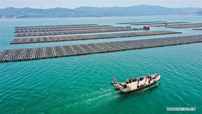 Draft amendment to Marine law to reduce carbon emissions