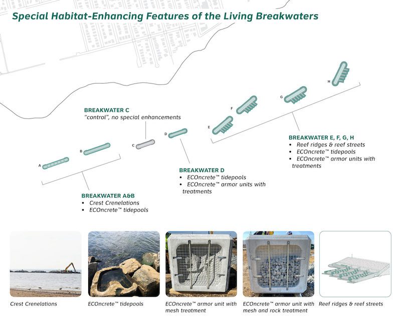 Innovation and Sustainability at Living Breakwaters