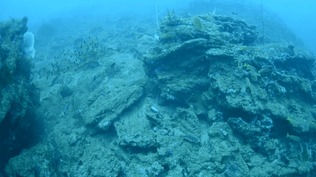 U.S. Funds Preservation of Ancient Shipwreck Near Hambantota