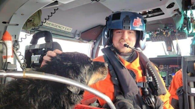 Video: U.S. Coast Guard Crosses Border to Save a Sailor and His Dogs