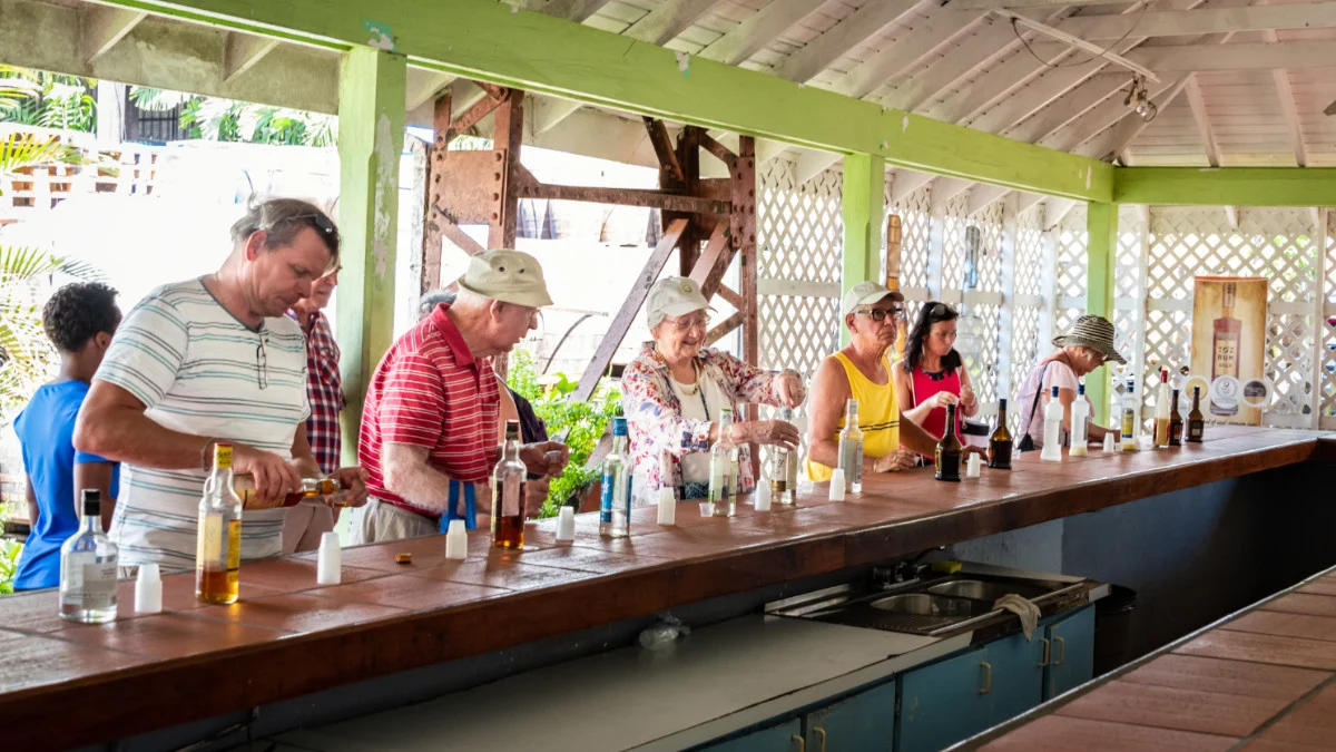 25 Top Things to Do in St. Lucia While on a Cruise