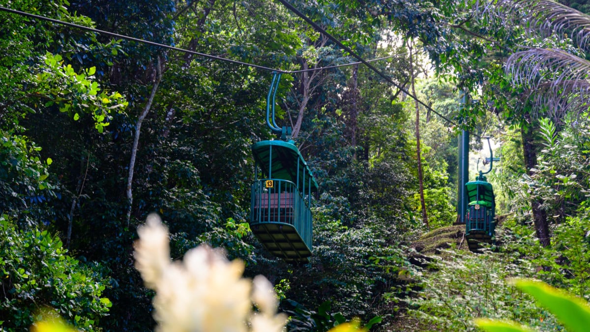 25 Top Things to Do in St. Lucia While on a Cruise