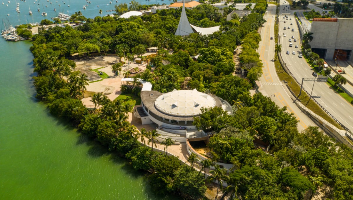 54 Things to Do in Miami, Florida for Cruise Passengers