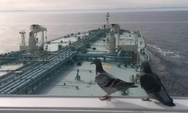 Minerva Marine firms up LR2 duo at New Times