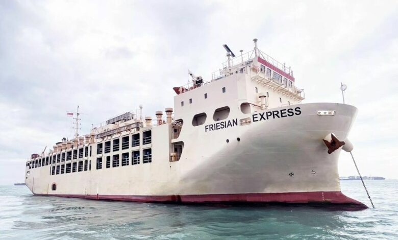 Vroon buys livestock carrier from Tsuneishi