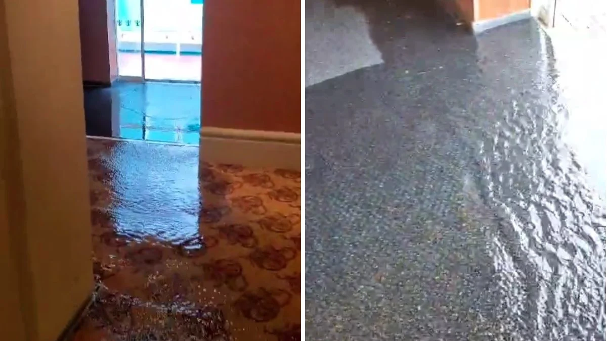 Why the Ultimate World Cruise is Getting Out of Hand on TikTok