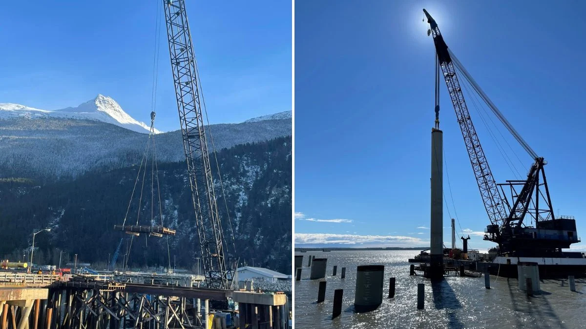 imwprobot-1185b8d1432d10d0ec02fe8362c2c4ff