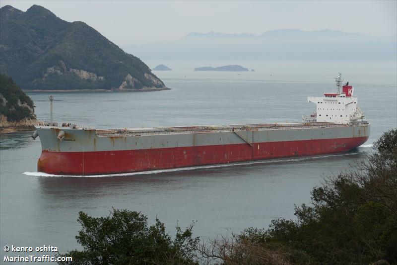 Diana Shipping charters out bulker to Ming Wah